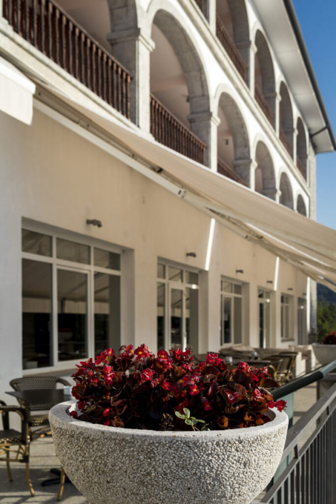 Imatge d'una planta a una de les terrasses del Parador
