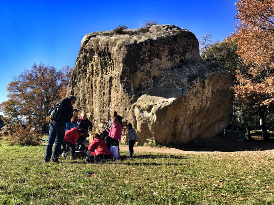 Imatge d'un bosc amb famílies