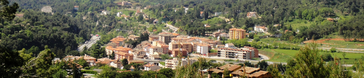 77-1200xh Banner paisatge amb petit poble