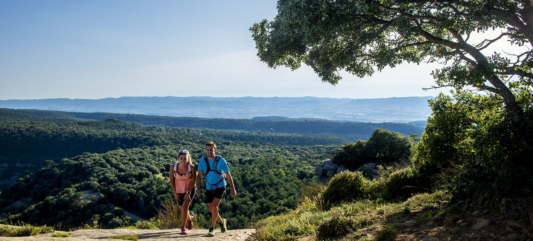 Puig d’Alfar. Tavèrnoles (Osona). juny de 2020.