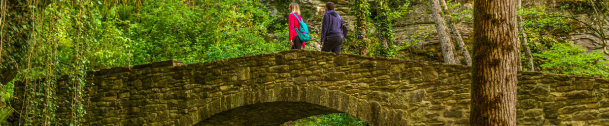 Pont del Molí de la Bertrana-l'Esquirol-Osona Turisme- en BAIXA-©J.Santaugini-008 Pont del Molí de la Bertrana-l'Esquirol-Osona Turisme- en BAIXA-©J.Santaugini-008