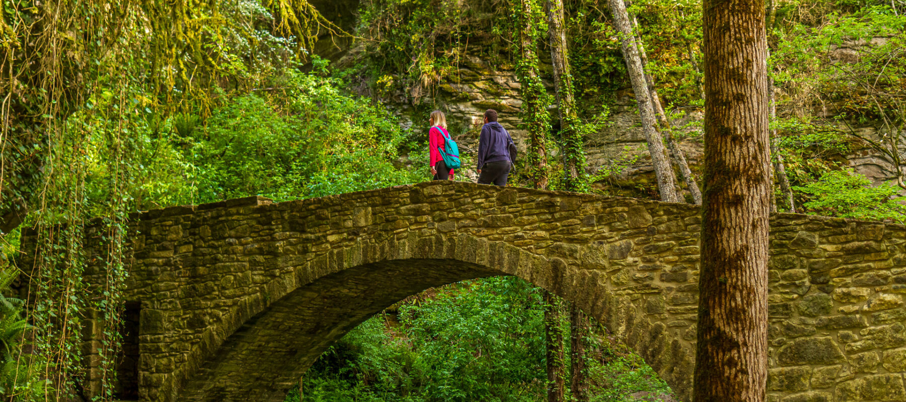 Pont del Molí de la Bertrana-l'Esquirol-Osona Turisme- en BAIXA-©J.Santaugini-008
