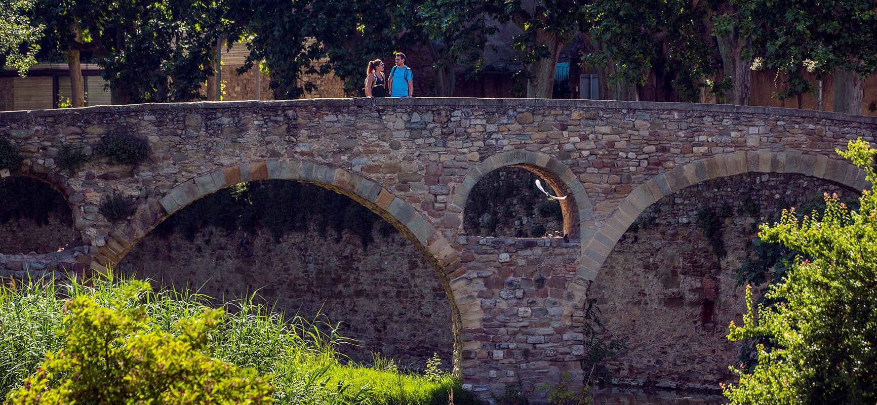 Pont Romànic de Queralt. Vic (Osona), juny de 2020. Pont Romànic de Queralt. Vic (Osona), juny de 2020.