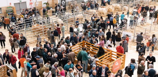 Mercat del Ram9