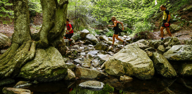 trail fonts del montseny