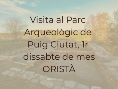 puig ciutat puig ciutat