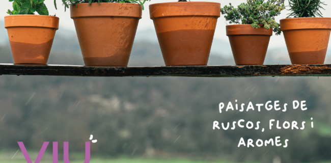 prova viu herbes 2026 (1)